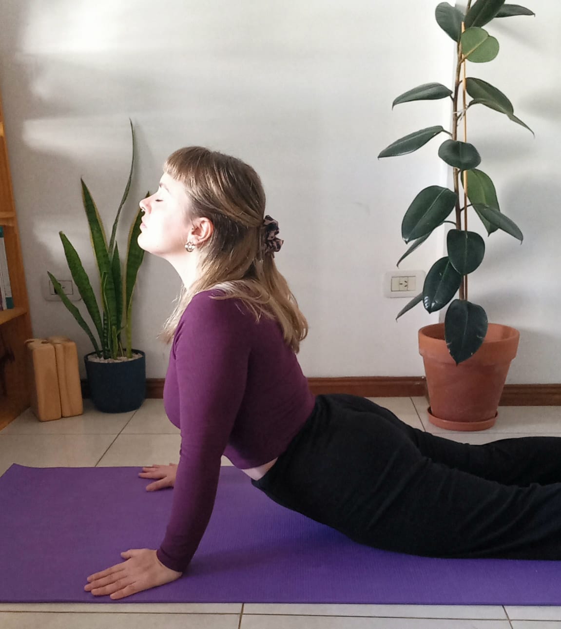 Hatha Yoga